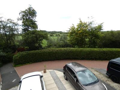 Picture 20